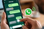 whatsapp勾代表什么单勾双勾蓝勾含义全解析