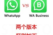 新版WhatsApp功能升级带来哪些聊天体验变化