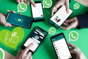 完整说明whatsapp如何看动态并查看好友状态更新