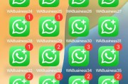 whatsapp官网下载安装详细步骤与安全注意事项全解析
