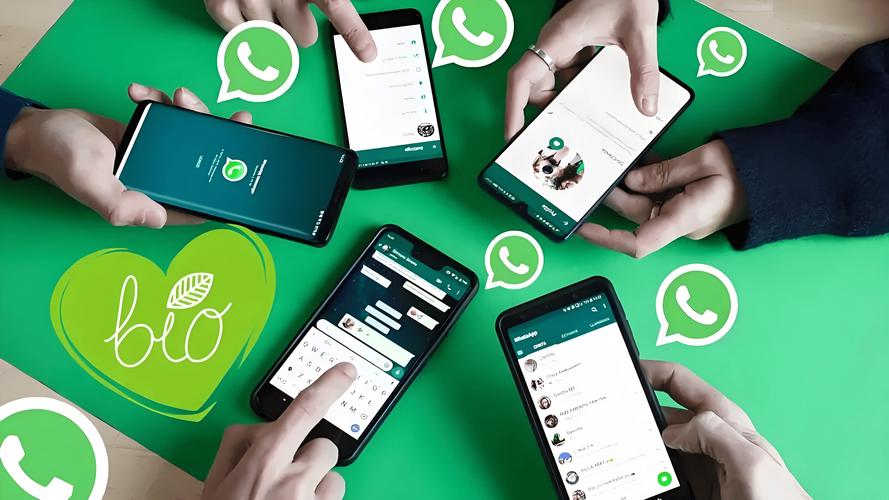 完整说明whatsapp如何看动态并查看好友状态更新 完整说明whatsapp如何看动态并查看好友状态更新