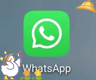 whatsapp盈利模式全解析：从商业账号到跨境私域变现的关键路径