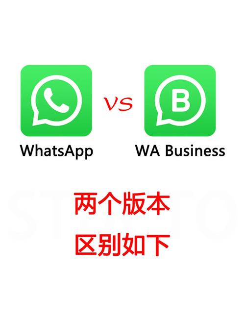 新版WhatsApp功能升级带来哪些聊天体验变化 新版WhatsApp功能升级带来哪些聊天体验变化