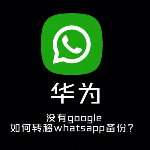 详细讲解whatsapp 怎么发文件及常见问题处理方法